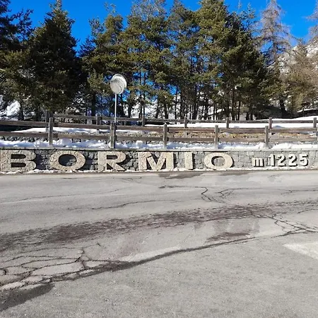 Noel-braulio Bormio